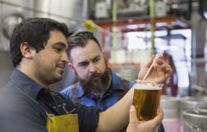 Brewery workers examining beer in beaker